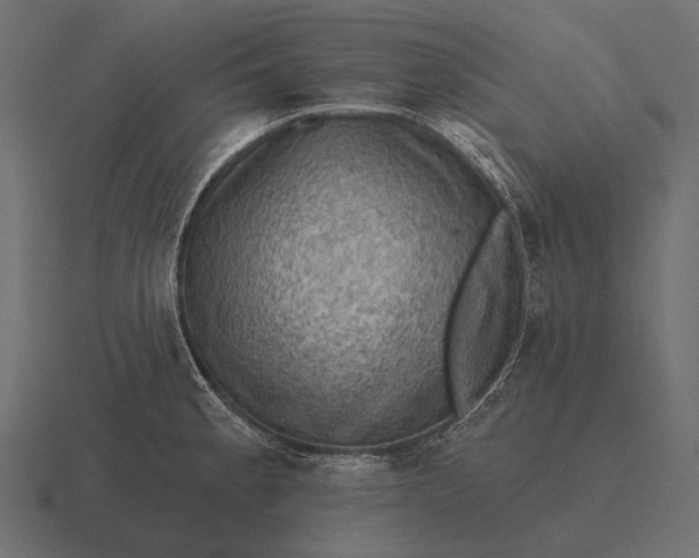 X0000116551189200912241549