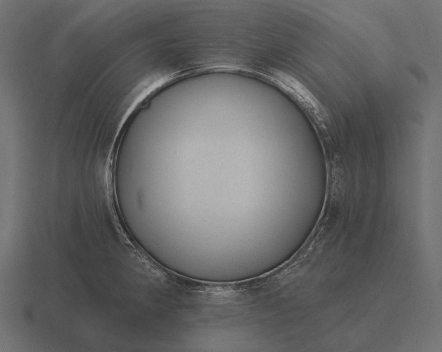 X0000116551190200912241549