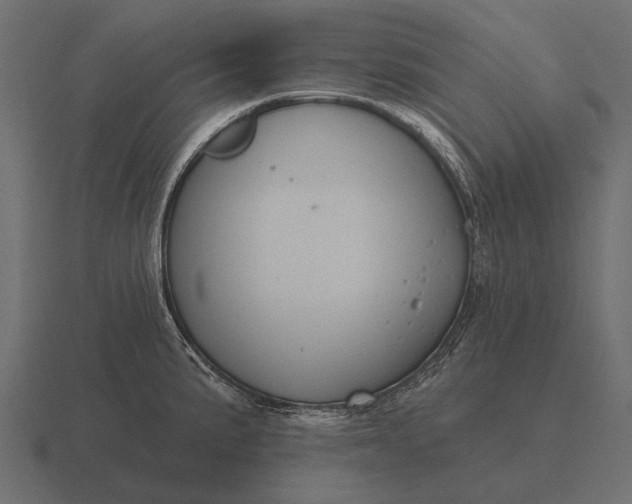 X0000116551191200912241549