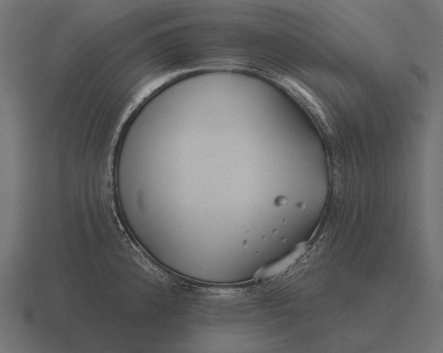 X0000116551192200912241549