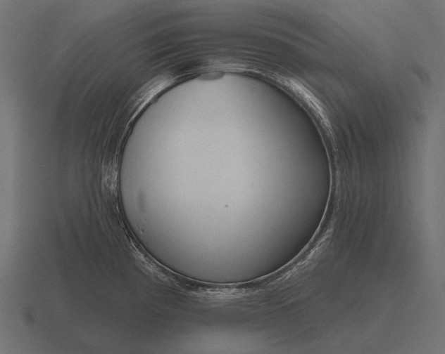 X0000116551193200912241549