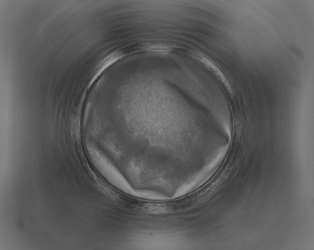 X0000116551194200912241549