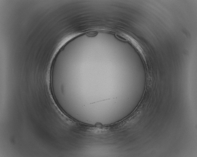 X0000116551195200912241549