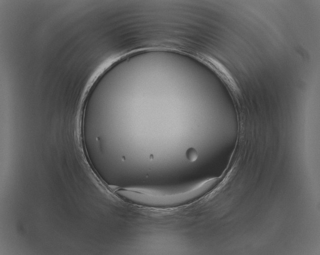 X0000116551196200912241549