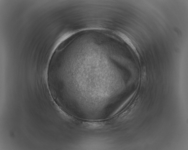 X0000116551197200912241549