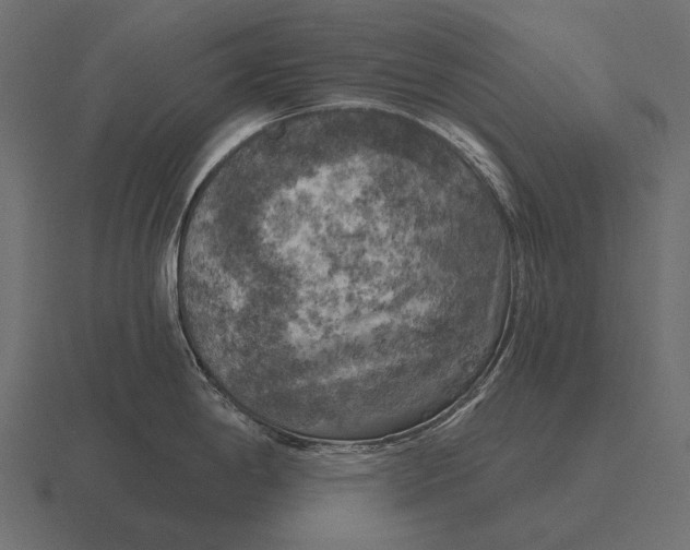 X0000116551198200912241549