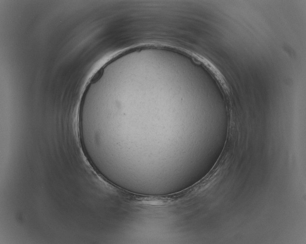 X0000116551199200912241549