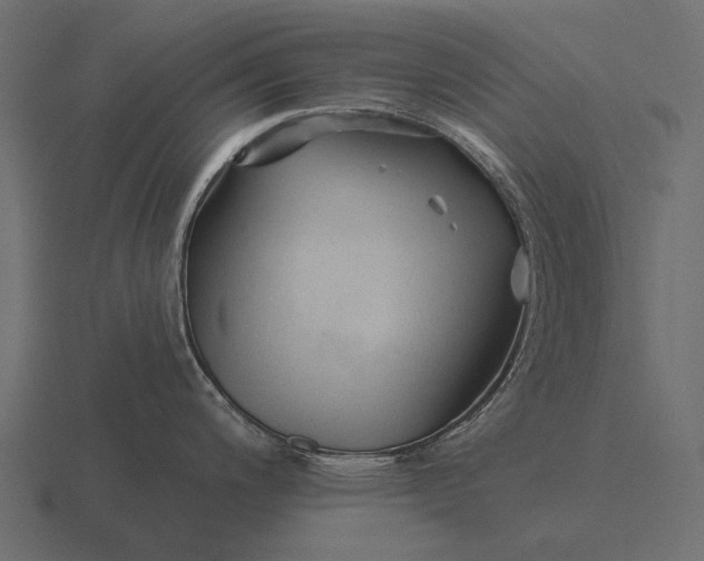 X0000116551200200912241549