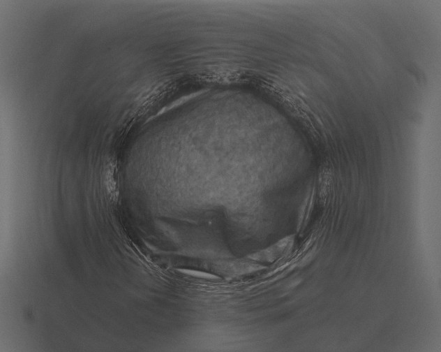 X0000116551202200912241549