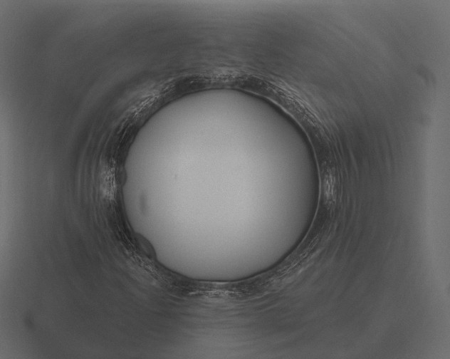 X0000116551204200912241549