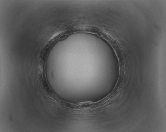 X0000116551206200912241549