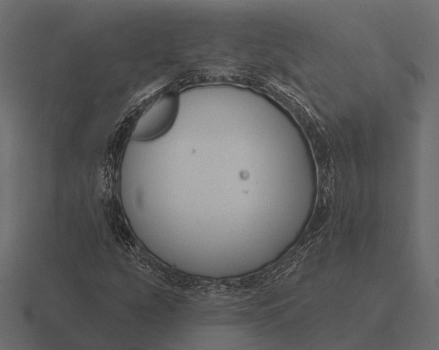 X0000116551207200912241549