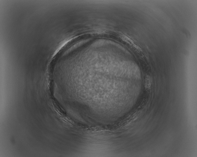 X0000116551208200912241549