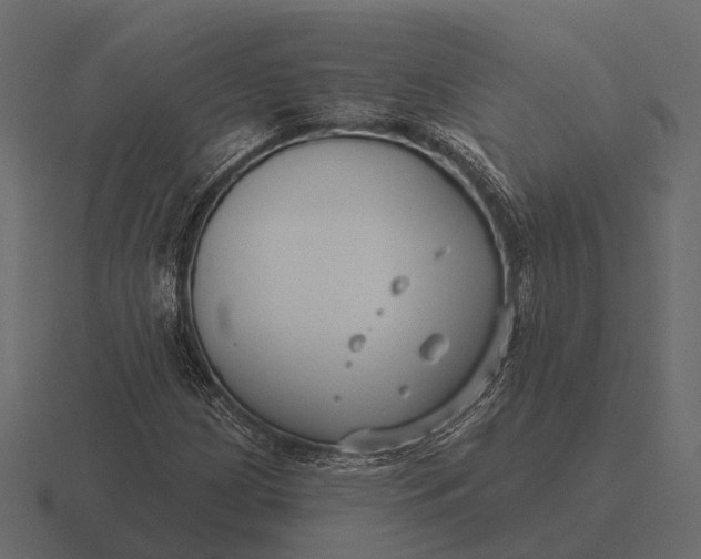 X0000116551209200912241549