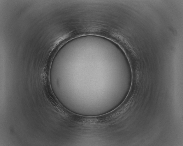 X0000116551210200912241549