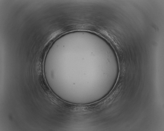 X0000116551211200912241549