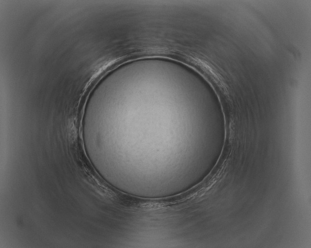 X0000116551212200912241549