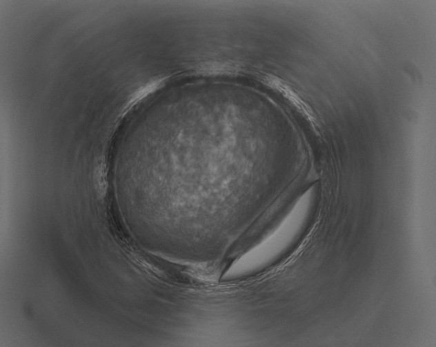 X0000116551213200912241549