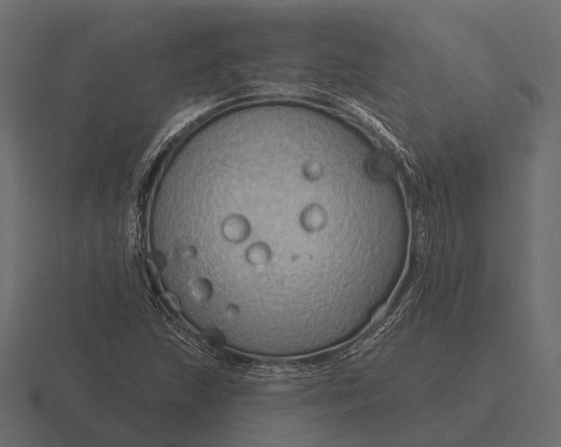 X0000116551215200912241549