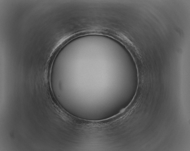 X0000116551216200912241549