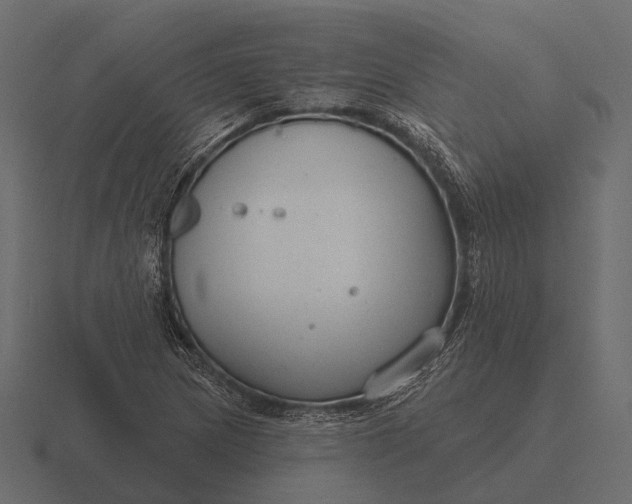 X0000116551217200912241549