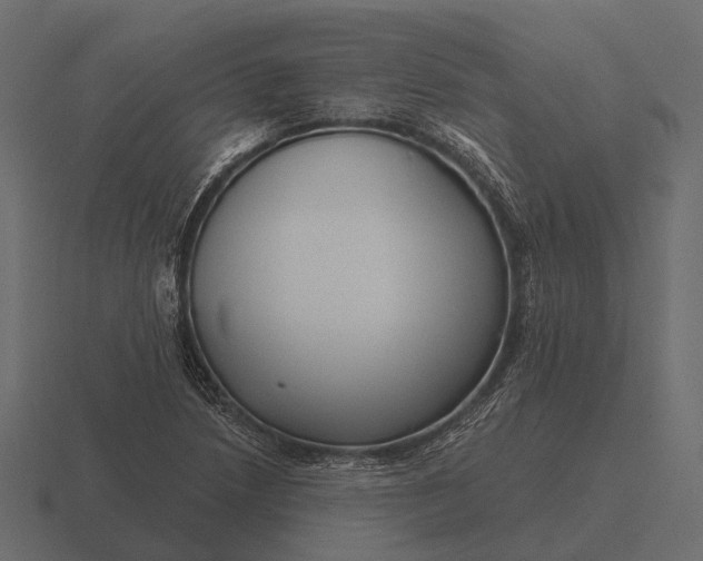 X0000116551218200912241549