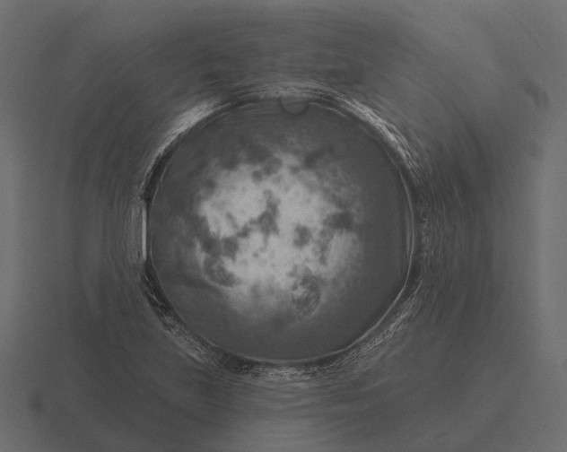 X0000116551219200912241549