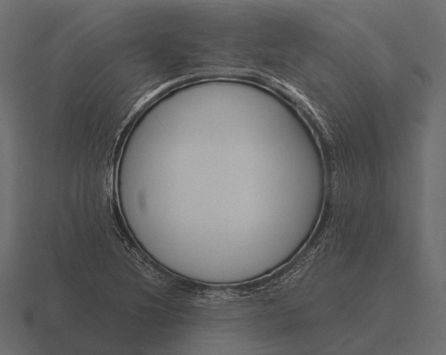 X0000116551220200912241549