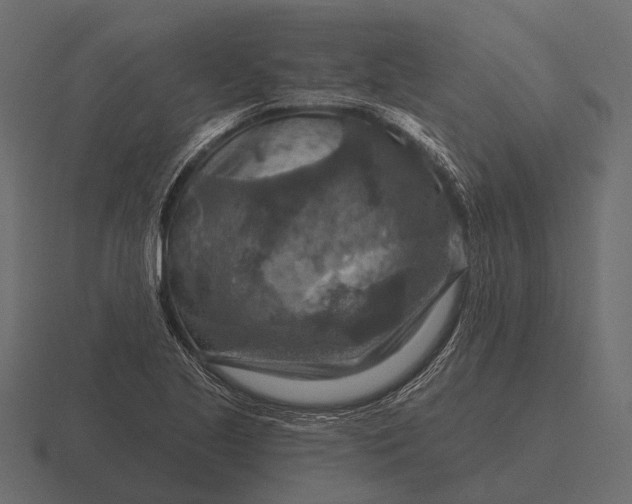 X0000116551221200912241549