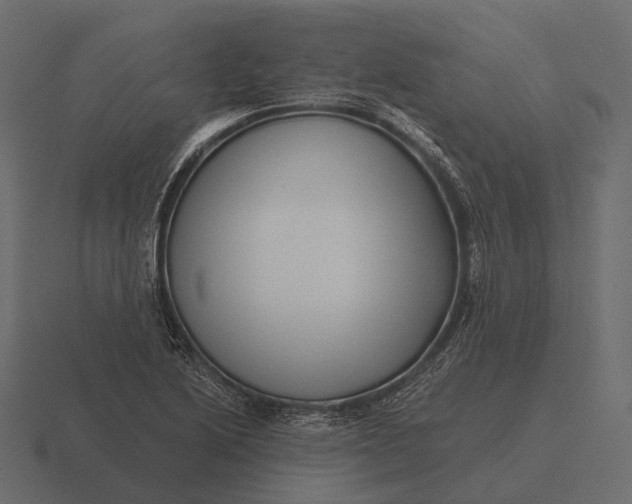 X0000116551222200912241549