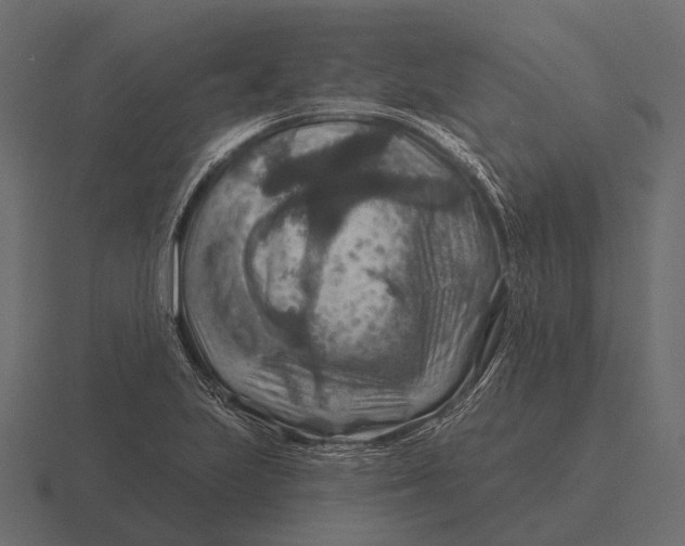 X0000116551223200912241549