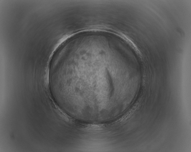 X0000116551224200912241549