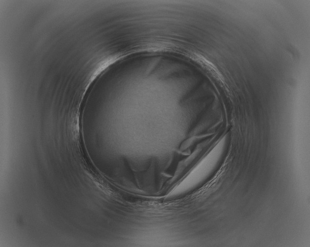 X0000116551226200912241549