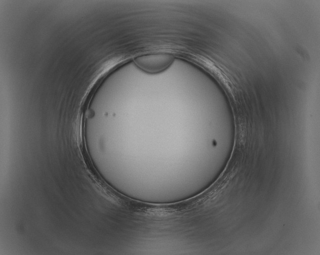 X0000116551227200912241549