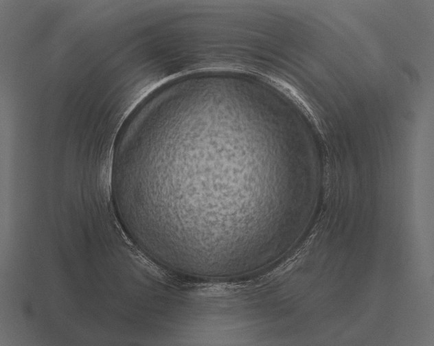 X0000116551228200912241549