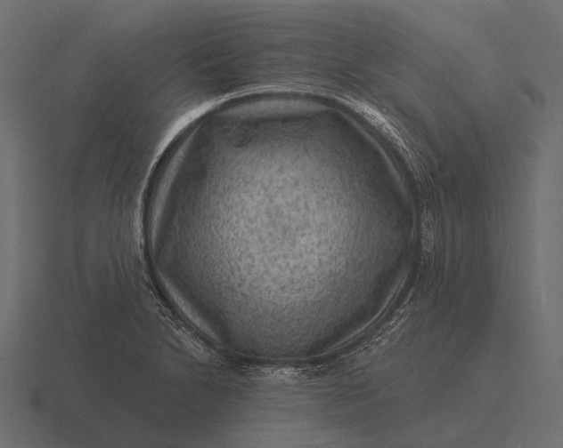 X0000116551230200912241549