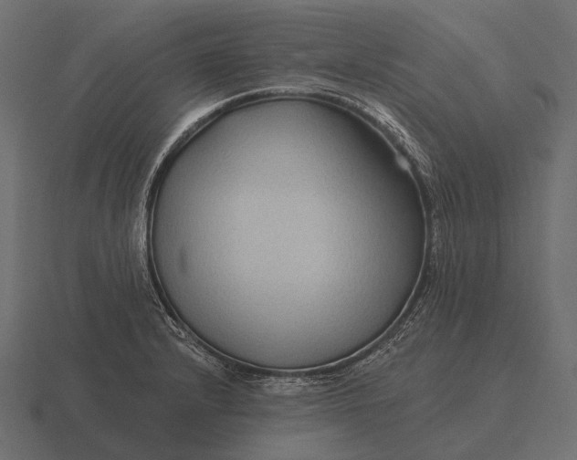 X0000116551232200912241549