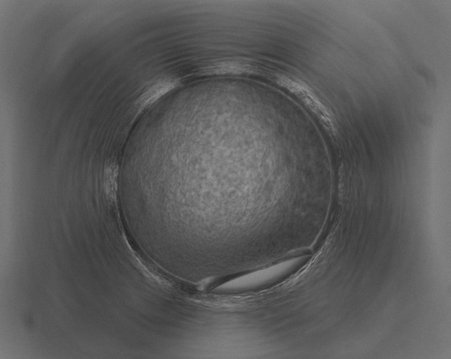 X0000116551233200912241549