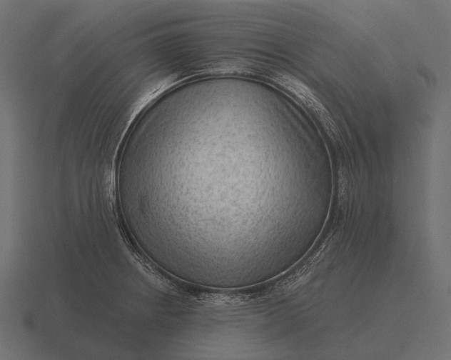 X0000116551234200912241549