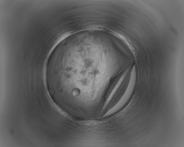 X0000116551235200912241549