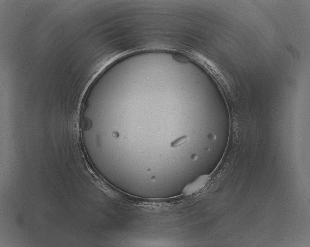 X0000116551236200912241549