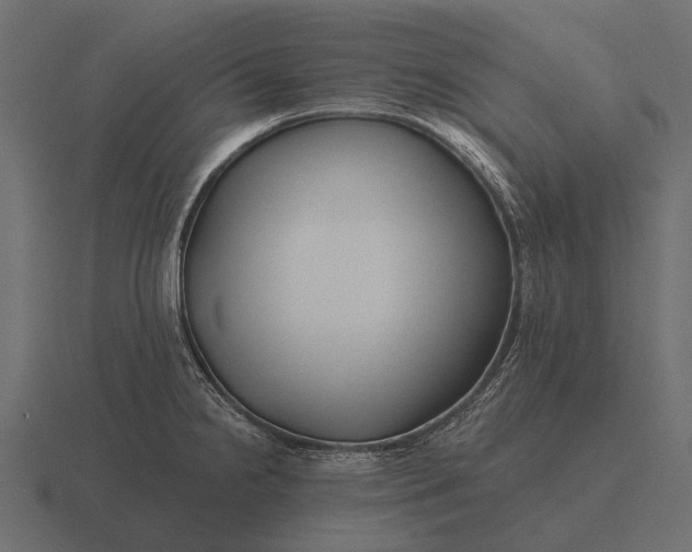 X0000116551238200912241549