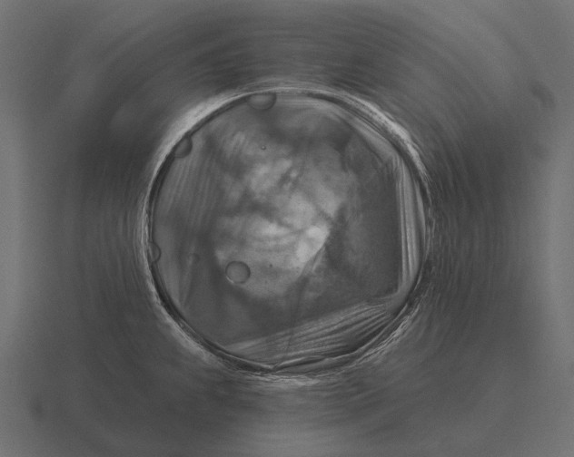 X0000116551239200912241549