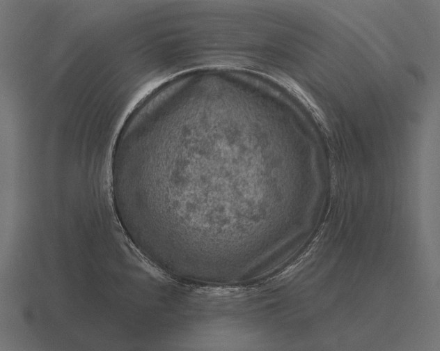 X0000116551240200912241549