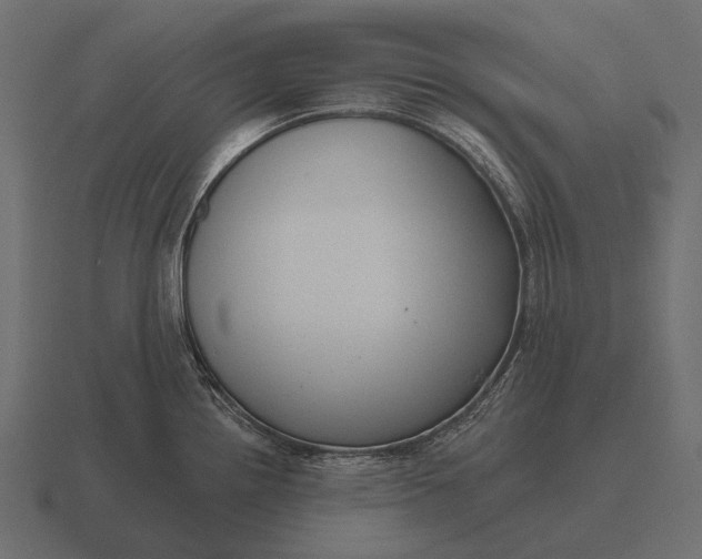 X0000116551242200912241549