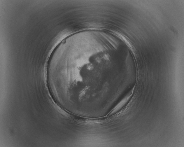 X0000116551243200912241549