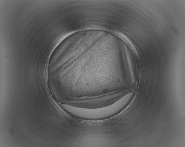 X0000116551244200912241549