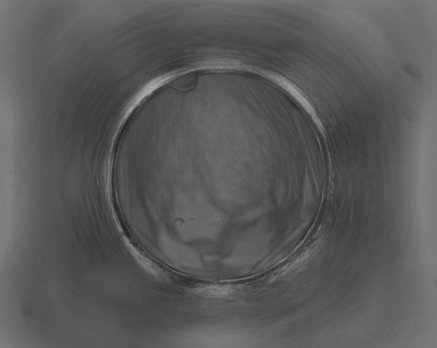 X0000116551245200912241549