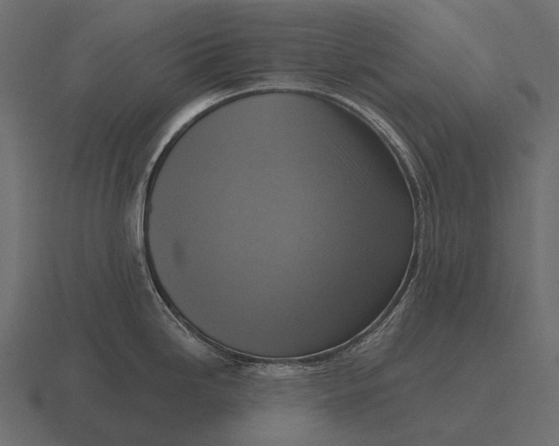 X0000116551246200912241549