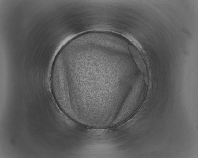 X0000116551248200912241549